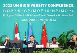 La Conferencia de Biodiversidad de las Naciones Unidas alcanzó un histórico acuerdo para el medio ambiente